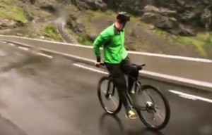 bike-backwards