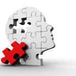 Head jigsaw puzzle